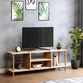 Fernsehtisch Ærøskøbing mit 2 Ablagefächern 43 x 120 x 29 cm Holzoptik [en. casa]