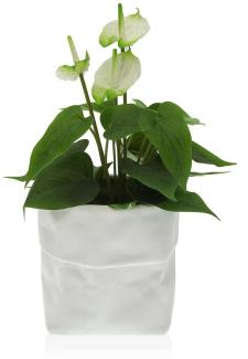 Blumentopf Versa Weiß aus Keramik (20 x 18 x 20 cm)