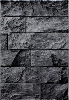 Kurzflor Teppich Paolo Läufer - 80x300 cm - Schwarz