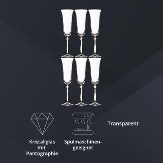 Peill+Putzler Germany 6er Set Sektflöten, 190 ml Volumen, mit Pantographie, Kristallgläser mit einem eleganten Design, Sektgläser für Wasser, Saft & Cocktail, Trinkgläser