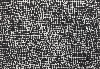 Teppich schwarz weiß 160 x 230 cm abstraktes Muster Kurzflor PUNGE