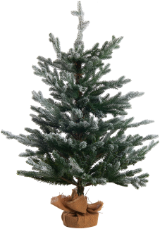 Künstlicher Weihnachtsbaum mit Schnee bestreut 90 cm grün RINGROSE