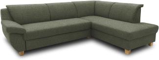 DOMO Collection Ecksofa Panama, klassisches Ecksofa in L-Form, Eckcouch, Sofa Couch, Ecke 254 x 186 cm in grün