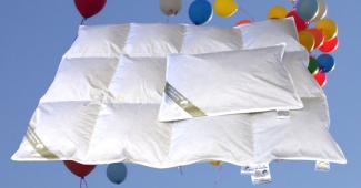 Hofmann´s Baby Kinder Set Daunenbett 100x135 cm Daunendecke + Kissen 100% Natur