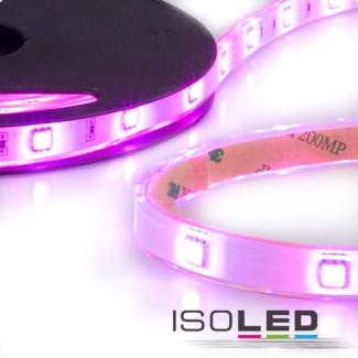 ISOLED LED AQUA-RGB-Flexband, 24V, 7,2W, IP68