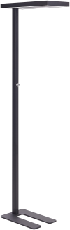 Stehlampe LED Metall schwarz 197 cm rechteckig TAURUS