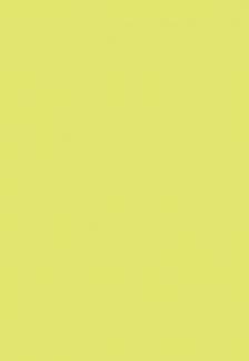 Schlafgut - Jersey-Elasthan Kissenbezug verschiedene Größen und Farben : 185 - Kiwi : 80 x 80 cm