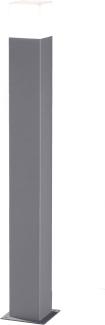LED Pollerleuchte HUDSON Titanfarben Höhe 80cm IP44 - Außenleuchte Wegeleuchte