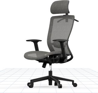 FLEXISPOT OC3B Bürostuhl ergonomisch Schreibtischstuhl modern Computerstuhl mit Lordosenstütze, Verstellbarer Kopfstütze, Chefsessel Chefsessel Stuhl, Grau