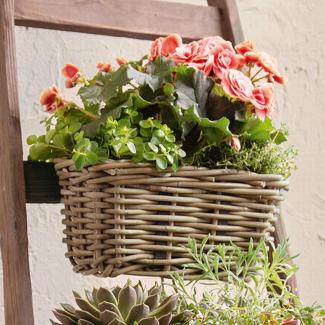 Rattan Pflanzkasten "Koboo Grey" klein, grau, Balkonkasten mit Halterung, Blumenkasten für Draußen, Pflanzgefäß