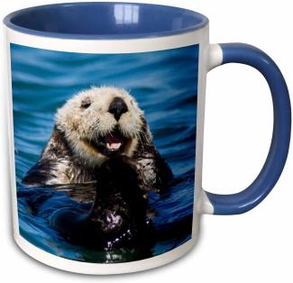 3dRose Sea Otter, Moss Landing, california-us05 jgs0198-jim Goldstein-Two Ton Blau Becher, Keramik, BlauWeiß, 10,16 x 7,62 x 9,52 cm