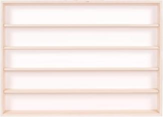 Setzkasten mit Scheibe Wandregal Sammelvitrine Deutsche Holzmanufaktur V-60. 5 Vitrine Regal Hängevitrine 60 cm x 49 cm x 8,5 cm - 5 Fächer, 2 Plexiglasscheiben - Mit Montageanleitung - Kein Zusammenbau nötig