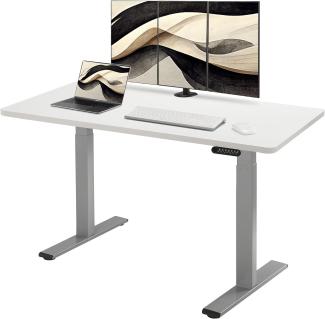 E.For.U® höhenverstellbarer Schreibtisch 160x80 cm, 2 Motoren, elektrisch höhenverstellbares Tischgestell mit 2-Fach-Teleskop, Memory-Steuerung (Silber), DT20L mit Tischplatte (Weiß)