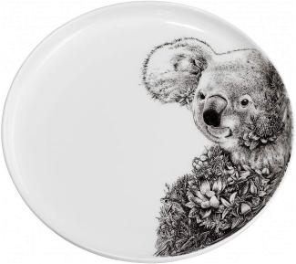 Maxwell & Williams DX0532 Teller 20 cm MARINI FERLAZZO Koala, Porzellan, in Geschenkbox
