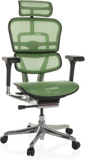 hjh OFFICE Bürostuhl ERGOHUMAN I Netz ergonomischer Bürosessel mit Flexibler Lordosenstütze, Grün, 652279