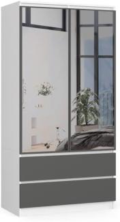 BDW Kleiderschrank 2 Türen 2 Schubladen 2 Spiegel für das Schlafzimmer Wohnzimmer Diele 180x90x51 (Weiß-Grau)