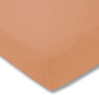 Estella 6500 Jersey Spannbettlaken 180x190-200x200 450-apricot