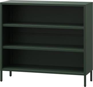 Jan Nowak Niedriges Bücherregal Metall - Luca | 2 Verstellbare Ablagen, Industrial Stil | Standregal für Wohnzimmer, Schlafzimmer, Kleines Regal, Buchregal Glitzernd | 100 x 90 x 35 cm | Flaschengrün