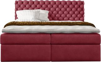 Stylefy 'Alviero' Boxspringbett, Velours Monolith Bordeaux 200 x 200 cm