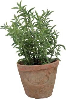 Esschert Design Kunststoffpflanze Thymian im Topf, Größe S, ca. 8,6 cm x 8,6 cm x 15 cm