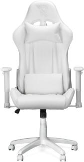 Ranqer Felix Gaming Stuhl - Verstellbare Armlehnen - Verstellbare Rückenlehne und Kissen - Ergonomischer Gaming Stuhl - Stabiles Nylon Gestell - Weiß
