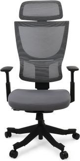 Flexispot BS8 Verstellbare Höhe Verstellbare Design Stuhl BackSupport grau ergonomischer bürostuhl grau(Grau)