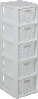 BranQ - Home essential Regal in Rattan Design, BPA-freie Kunststoff PP, Weiß, 29,5 x 24 x 80 cm, 5 Körben