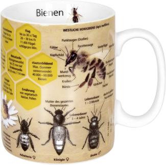 Könitz Wissensbecher Biene Becher, Kaffeebecher, Teetasse, Tasse, Porzellan, 360 ml, 11 1 330 2445