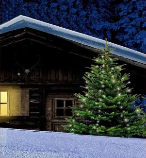 Baumvorhang 160 LED Lichterkette Baumschmuck Gartendeko Weihnachten Beleuchtung