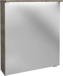 Fackelmann OXFORD LED Spiegelschrank 60 cm breit, Braun hell