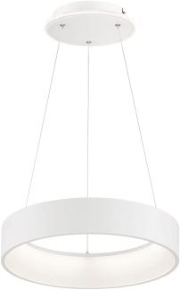 LED Hängeleuchte, dimmbar, Höhenverstellbar, weiß, D 45 cm