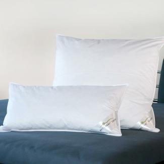 BettwarenShop 'Comfort' Federkissen Doppelpack, 85% Federn / 15% Daunen, 40 x 40 cm