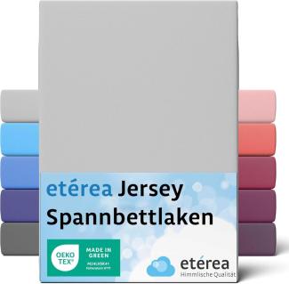 etérea Comfort Jersey Spannbettlaken Silber 90x200 cm - 100x200 cm