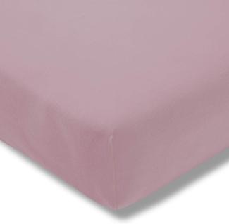 Estella 6500 Jersey Spannbettlaken 180x190-200x200 950-orchidee