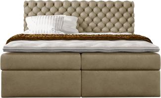 Stylefy 'Alviero' Boxspringbett Velours Jasmine Creme 120 x 200 cm