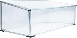 HI Mini-Gewächshaus 100x60x40 cm Aluminium Transparent