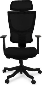 Flexispot BS8 Verstellbare Höhe Verstellbare Rückenlehne Ergonomisches Design Stuhl BackSupport Bürostuhl (Schwarz)