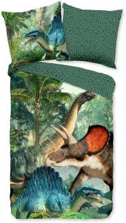Traumschlaf Bettwäsche Dinos | 135x200 cm + 80x80 cm
