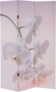 Foto-Paravent T233, Paravent Trennwand MVG-zertifiziert 180x120cm ~ Orchidee