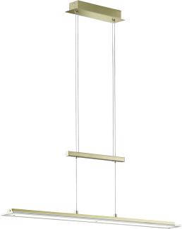 Fischer & Honsel 60562 LED Pendelleuchte Tenso TW 100cm messing tunable white
