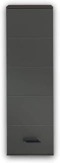 Stella Trading MEDIANA Hängeelement in Graphit matt - Moderner Hängeschrank mit viel Stauraum für Ihr Wohnzimmer - 40 x 125 x 36 cm (B/H/T)