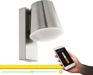 LED Außenwandlampe, Smart Home, Edelstahl, 24 cm