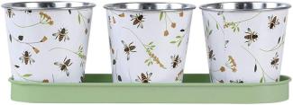 Rivanto® 3er Blumentopf Set Bienenmuster auf Tray, kleine Pflanztöpfe, Untersetzer Breite 32 cm, Topf Ø ca. 10 cm