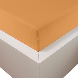 Traumschloss Premium Plus Edel-Jersey Spannbettlaken mandarine 90-120x200-220