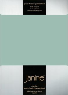 Janine Spannbetttuch ELASTIC-JERSEY Elastic-Jersey rauchgrün 5002-36 200x200