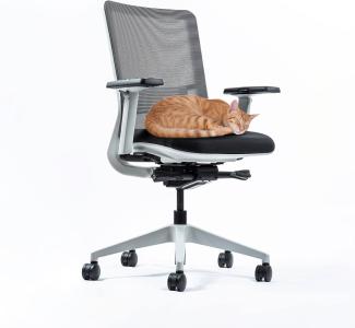 Yaasa Chair Ergonomischer Bürostuhl, Schreibtischstuhl mit Lordosenstütze, 3D-Armlehnen und Einstellung der Sitztiefe, Traglast 130kg, Bürostuhl Weiß
