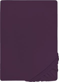 Biberna Jersey Elasthan Spannbettlaken Spannbetttuch 180x200 cm - 200x220 cm Dunkel Violett