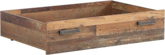 FORTE Clif Rollschublade für Bett, Holzwerkstoff, Braun, 104,1 x 24 x 67,4 cm
