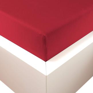 Traumschloss Premium Plus Edel-Jersey Spannbettlaken rubin 140-160x200-220