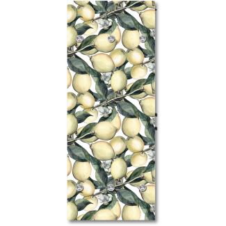 Queence Garderobe - "Citrus" Druck auf hochwertigem Arcylglas inkl. Edelstahlhaken und Aufhängung, Format: 50x120cm
